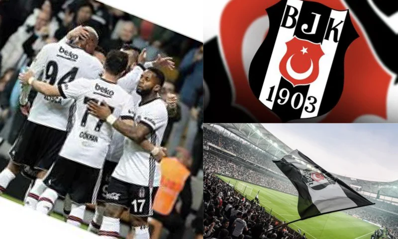 Beşiktaş Maç Bileti Satın Alma Adımları