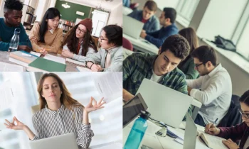 Eğitim Sonrası İş Hayatına Girişin Önemi