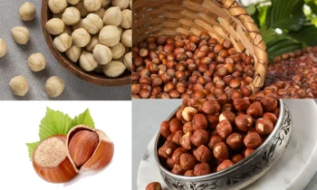 Hazelnuts (Fındık): Besleyici Bir Atıştırmalık