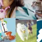 Veteriner Pet Takip Nasıl Olur?