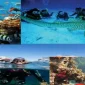Kızıldeniz Dalış Turları İle Macera Dolu Bir Tatil