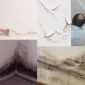 Duvardaki Rutubeti Önleme Yöntemleri Nelerdir?