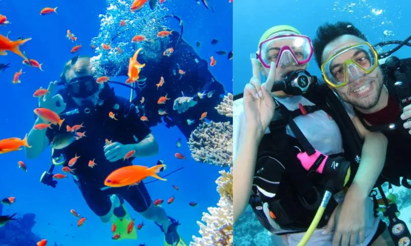 diving-2-person-1