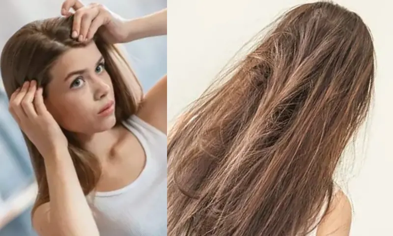 damaged hair-2-piece-1
